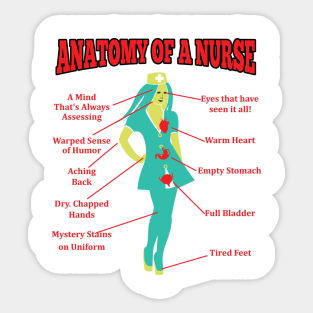 Anatomy of a Nurse Sticker